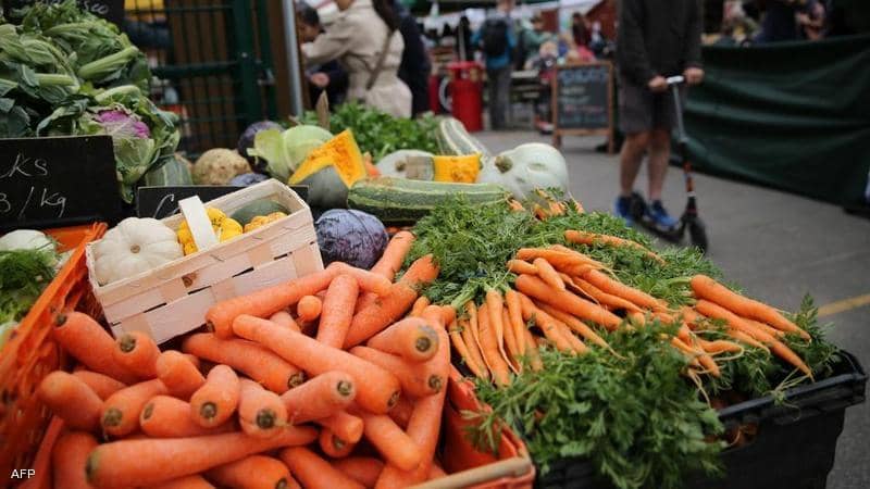 لعيون سليمة.. عليكم بتناول هذه الأغذية